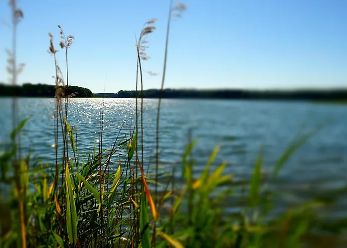 Am Luebbesee テンプリーン